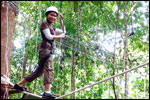 High Ropes Course - Multi-Vine Traverse
