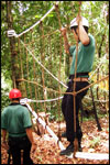 Low Ropes Course - Net Walk