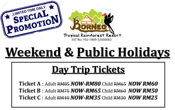 Day Trip Promotion
